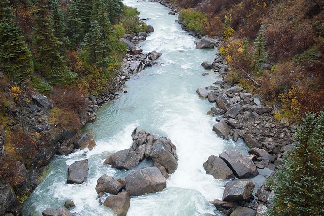 Yukon Suspension Bridge and Summit Tour - How much walking and how steep is it?