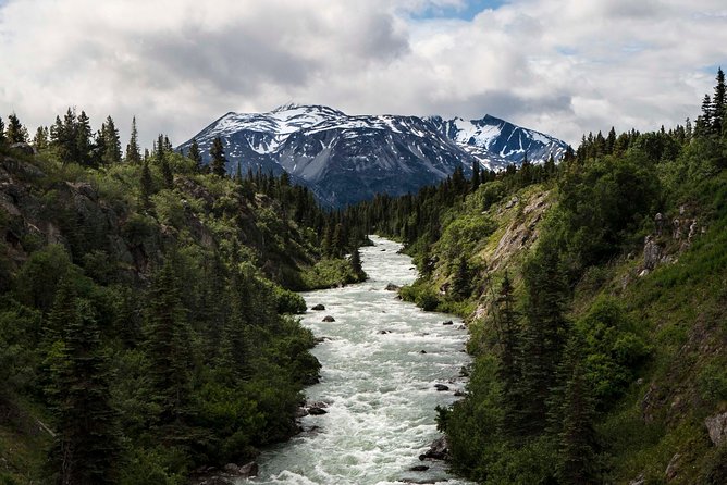 Yukon Suspension Bridge and Summit Tour - Best for families, photographers, and people who hate crowds