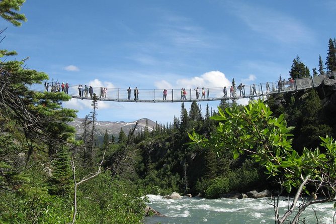 Yukon Suspension Bridge and Summit Tour - Yukon Suspension Bridge: boardwalk walking plus bridge views of the Tutshi River