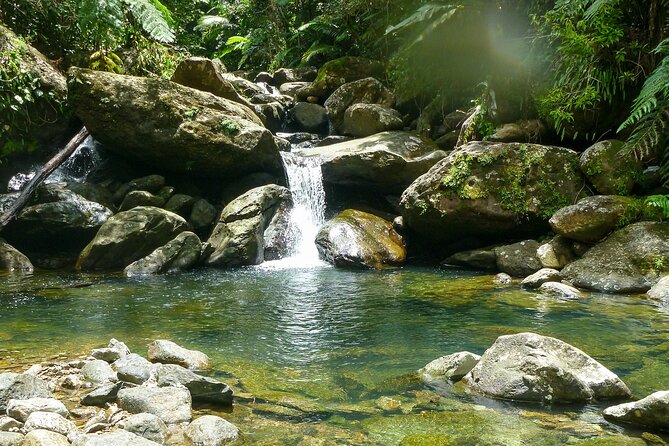 Yunque & Piñones Tour Hike Eat & Adventure with a Local; San Juan - Key things to love about this El Yunque + Piñones day