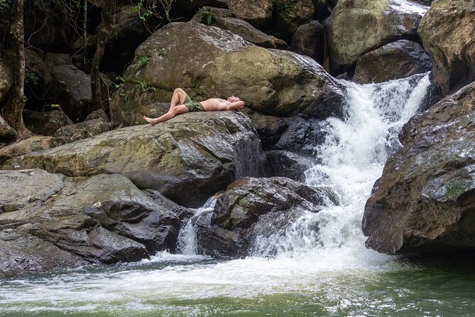 Yunque & Piñones Tour Hike Eat & Adventure with a Local; San Juan - Why this El Yunque route feels truly off the main track