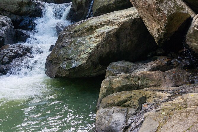 Yunque & Piñones Tour Hike Eat & Adventure with a Local; San Juan - Water safety and why the life vests are a big deal