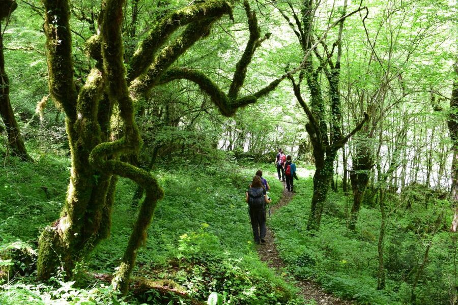 Zagori: Vikos Gorge full-day guided hike - Voidomatis Springs: the cold-water moment that makes it memorable