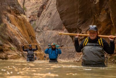 Zion Full Day Private Tour & Hike - Naturalist guidance that changes the whole feel of the park