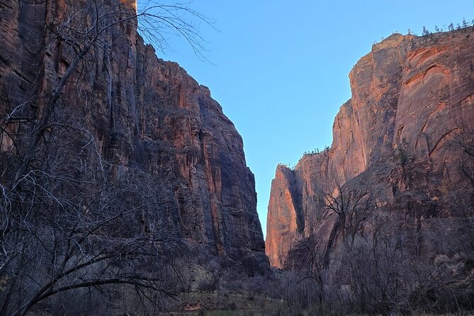 Zion National Park Hiking Tour from Las Vegas Small Group Max 14 - Wildlife, birds, and why your timing matters