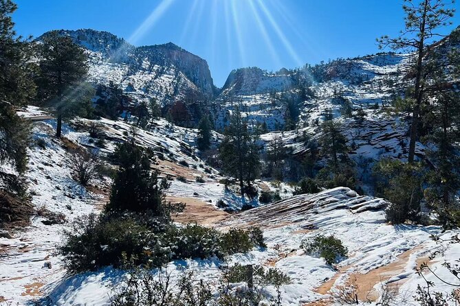 Zion National Park Hiking Tour from Las Vegas Small Group Max 14 - Snacks, deli lunch, and pacing that doesn’t fry you