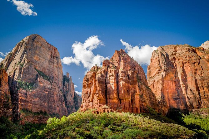 Zion National Park: Private Guided Hike & Picnic - Key highlights worth your attention