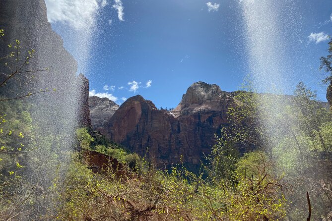 Zion National Park: Private Guided Hike & Picnic - West Rim Trail to Scout’s Lookout: the signature viewpoint day